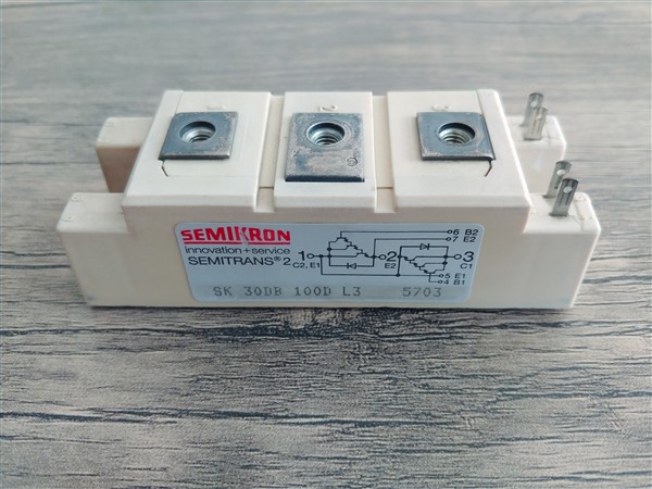 SK30DB-100